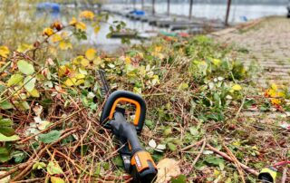 Heckenschnitt hinter dem Clubhaus