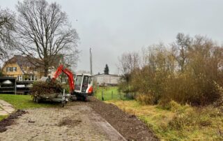 Das Gestrüpp ist weg