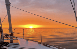 Die Albatros in der Ostsee