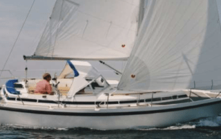 Die Albatros in der Ostsee