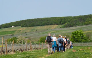 Weinwanderung 2024