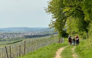 Weinwanderung 2024