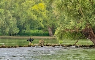 Flottillenfahrt 2023