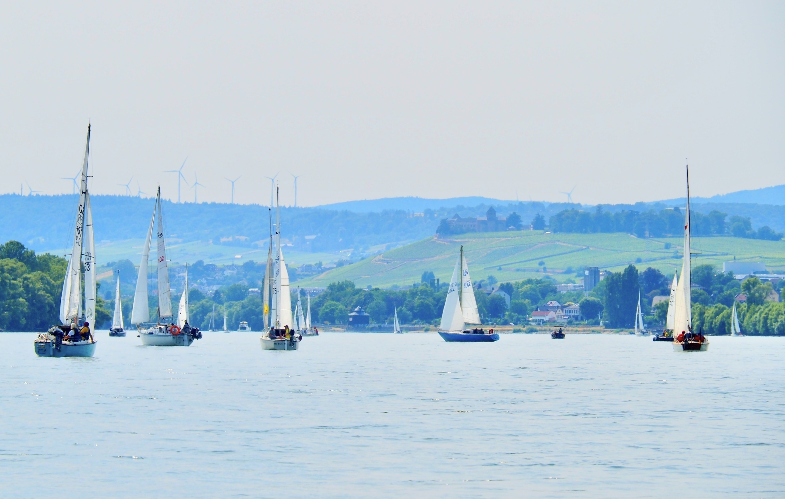 Segelrevier Rheingau: Segeln auf dem Rhein