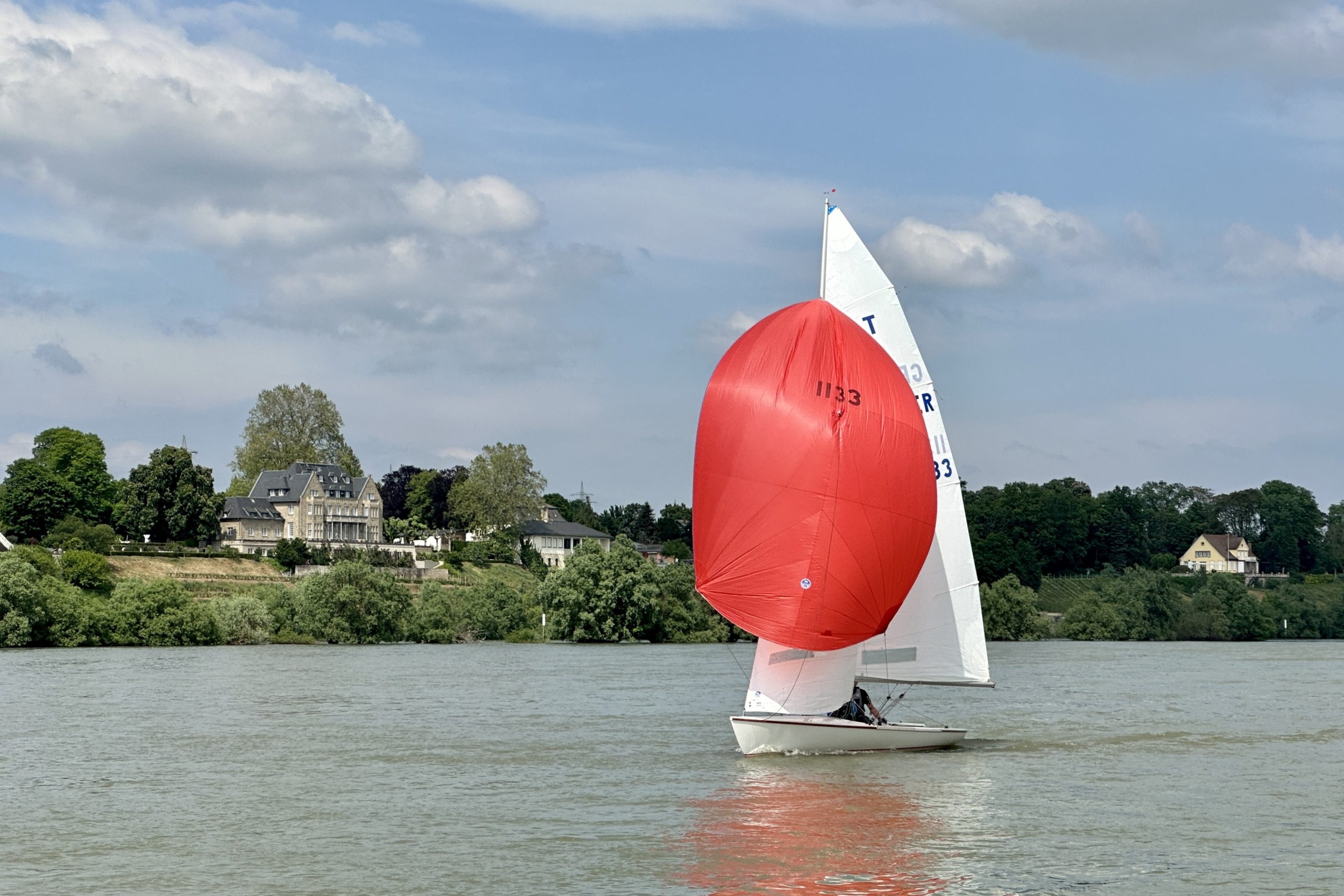 Segelrevier Rheingau: Segeln auf dem Rhein