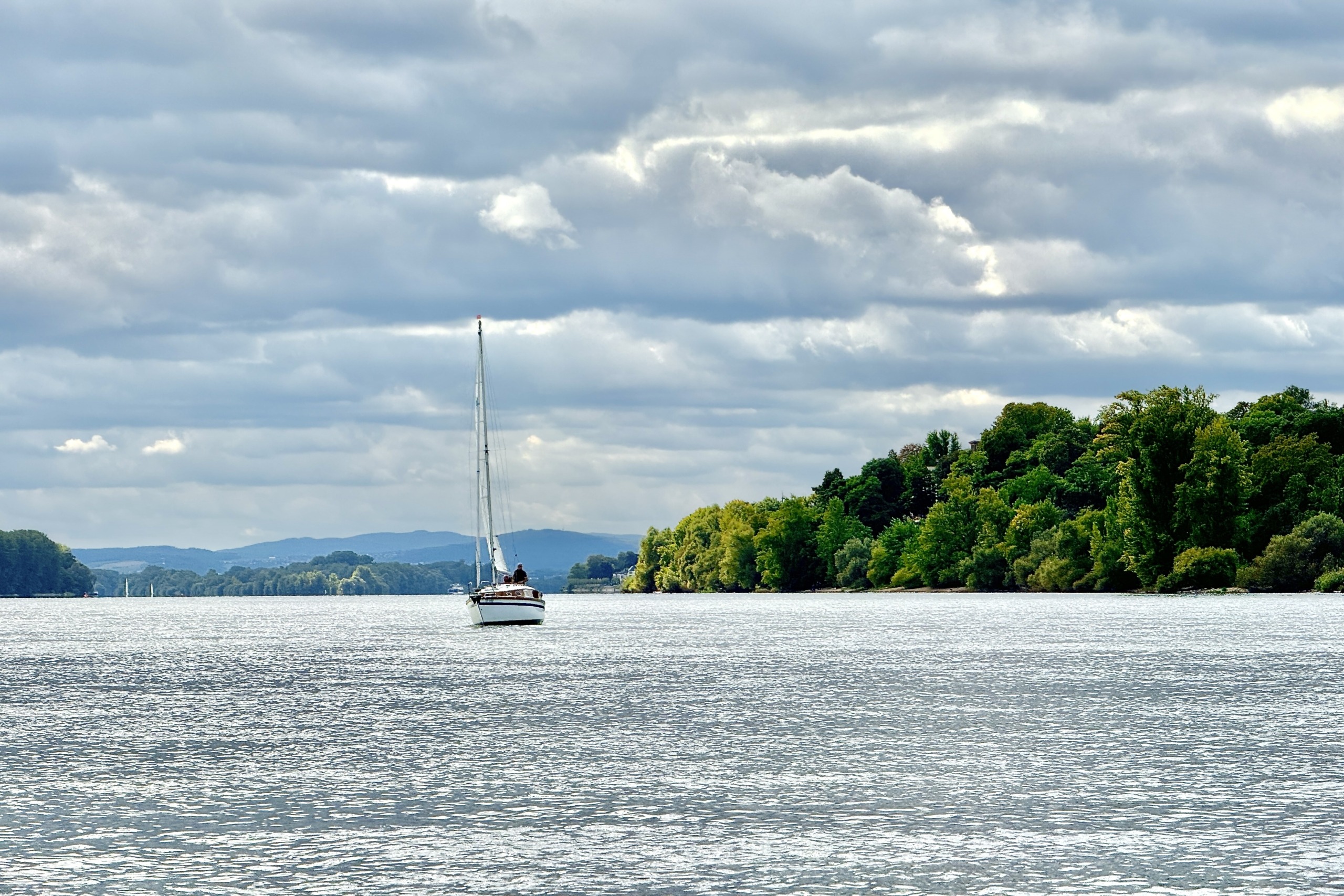Segelrevier Rheingau: Segeln auf dem Rhein