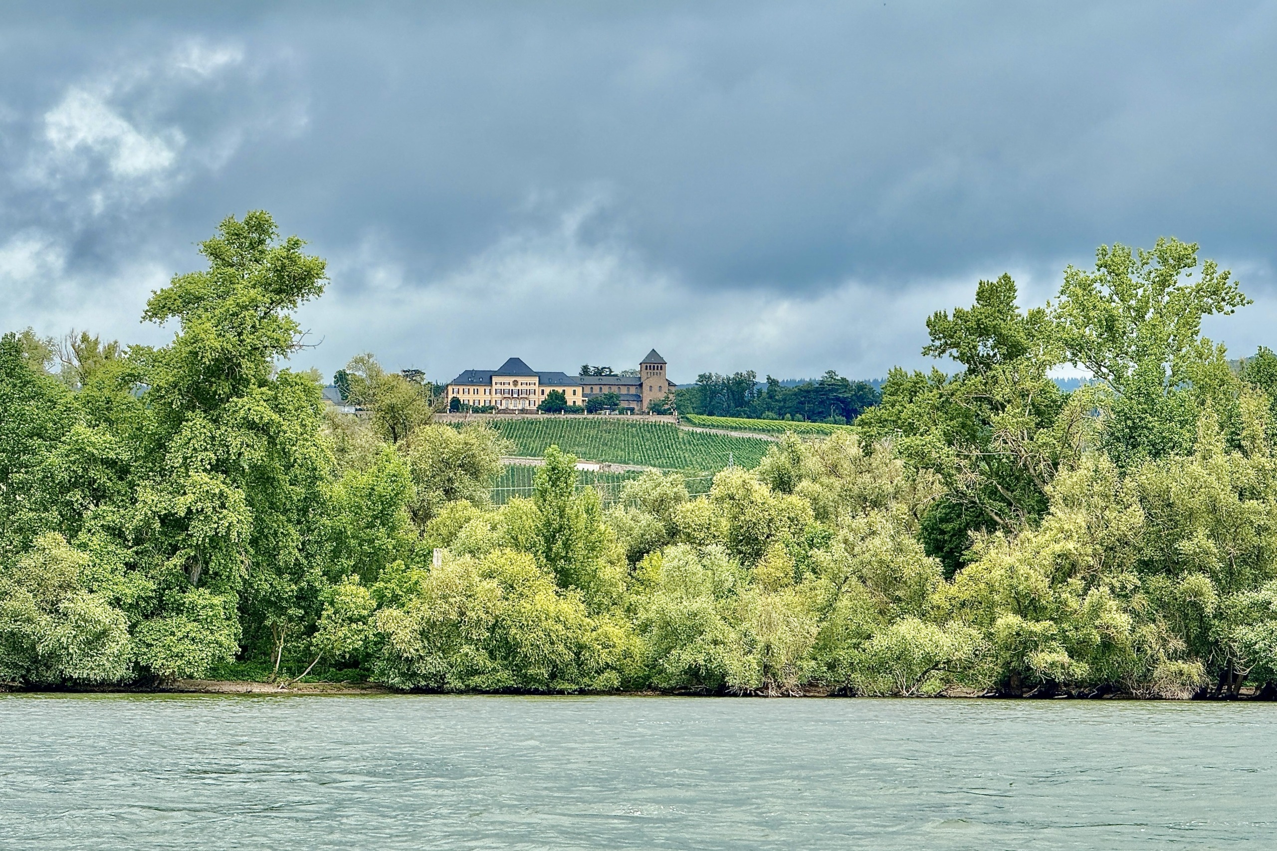 Segelrevier Rheingau: Segeln auf dem Rhein