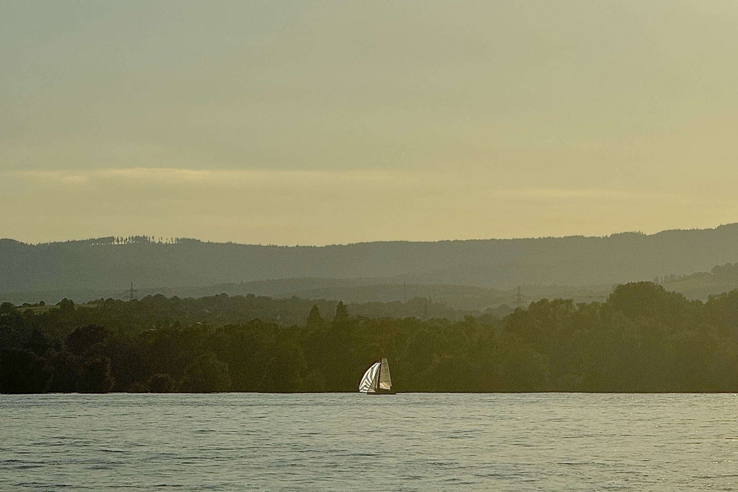 Segelrevier Rheingau: Segeln auf dem Rhein