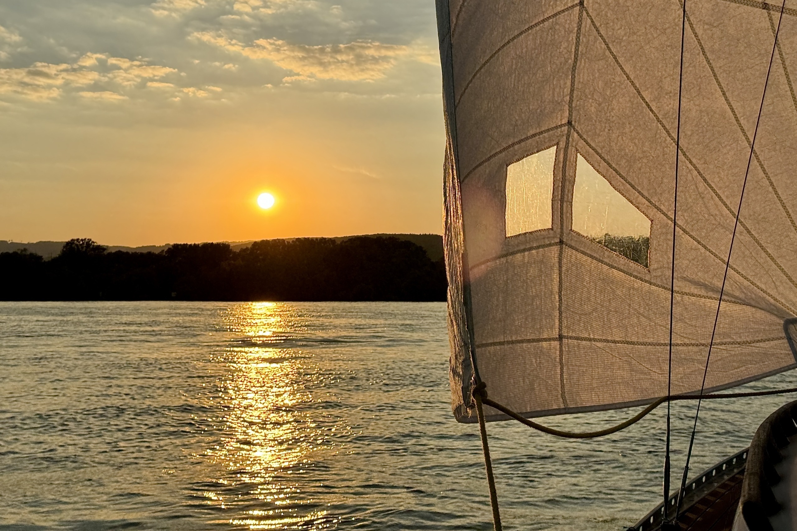 Segelrevier Rheingau: Segeln auf dem Rhein