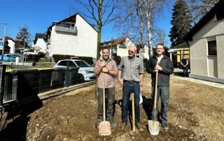 Die Winterlinde ist gepflanzt
