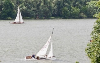 Die Rheinwoche 2025 im Segelclub Rheingau