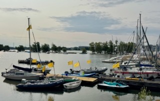 Die Rheinwoche 2025 im Segelclub Rheingau