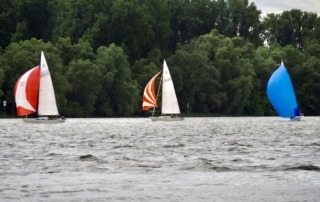 Die Rheinwoche 2025 im Segelclub Rheingau