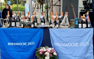 Die Rheinwoche 2025 im Segelclub Rheingau