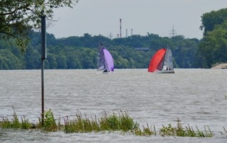 Die Rheinwoche 2025 im Segelclub Rheingau
